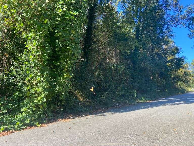 685 Seymour Dr. N., Augusta, GA