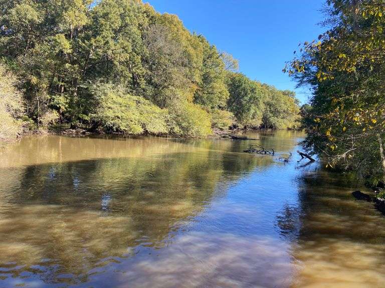 Multi County Auction in GA