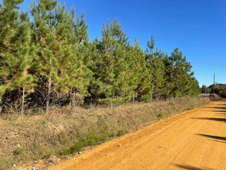 The Knight Tract, 105 acres Offered Divided, Wrightsville, GA