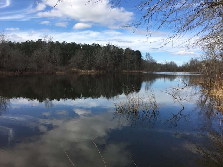 Bird Dog Bay, 130 acres Waynesboro, GA