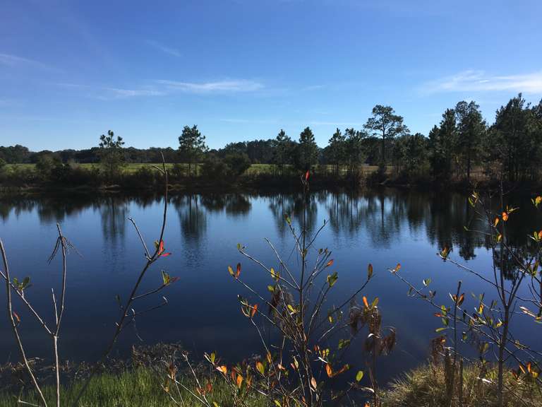 South GA Land Auction