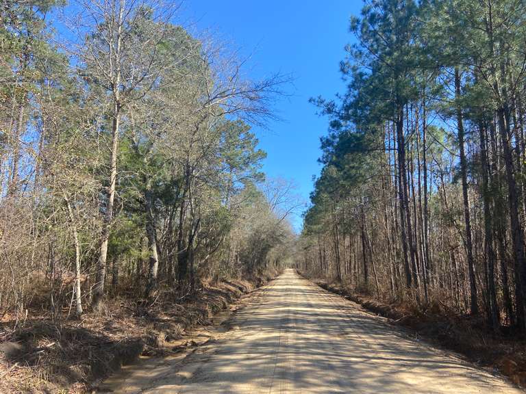 The Adabelle Tract, 39 acres, Bulloch County, GA