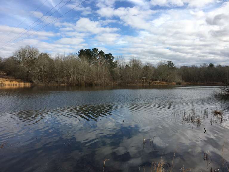 131 acres, Bird Dog Bay, Waynesboro, GA South Auction