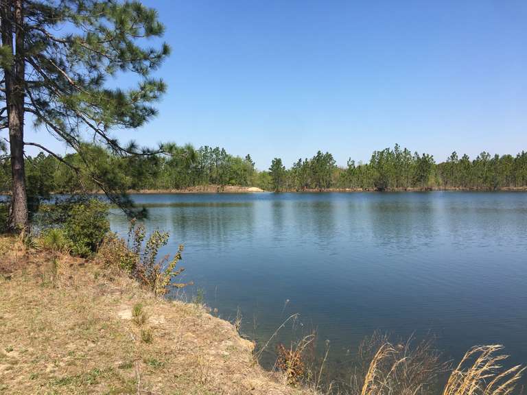Bryant Estate Properties, Emanuel County, GA