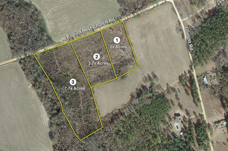 3 Lots in Kite, GA South Auction