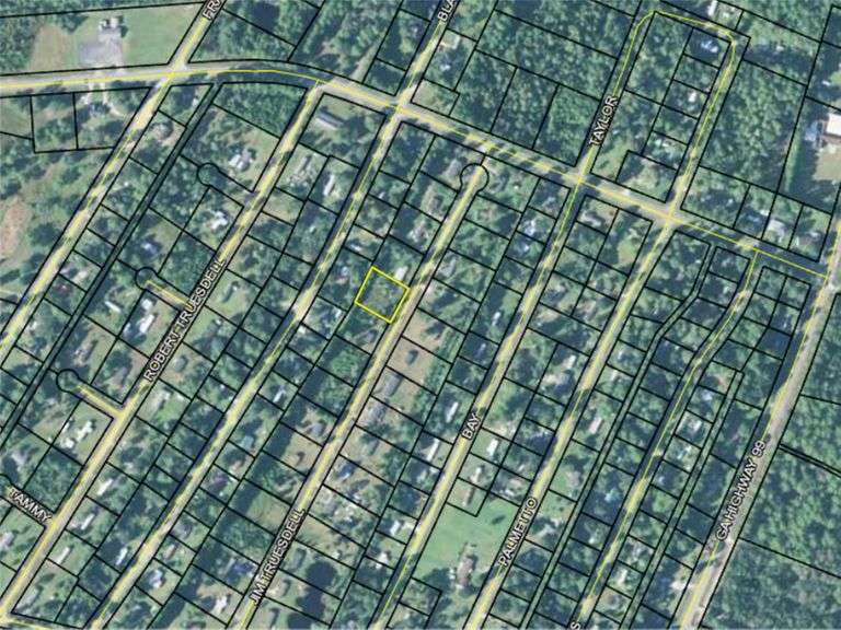 Darien Lot, Darien, GA South Auction