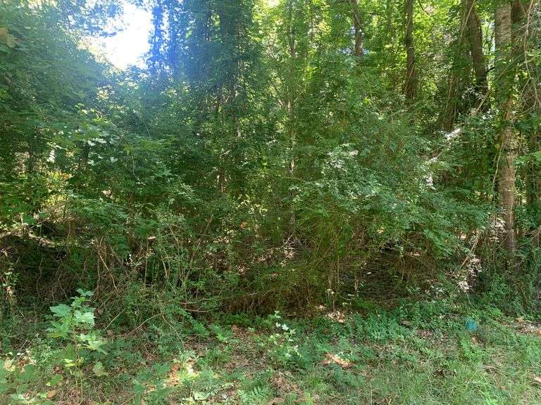 4 acres, Pike County, GA South Auction