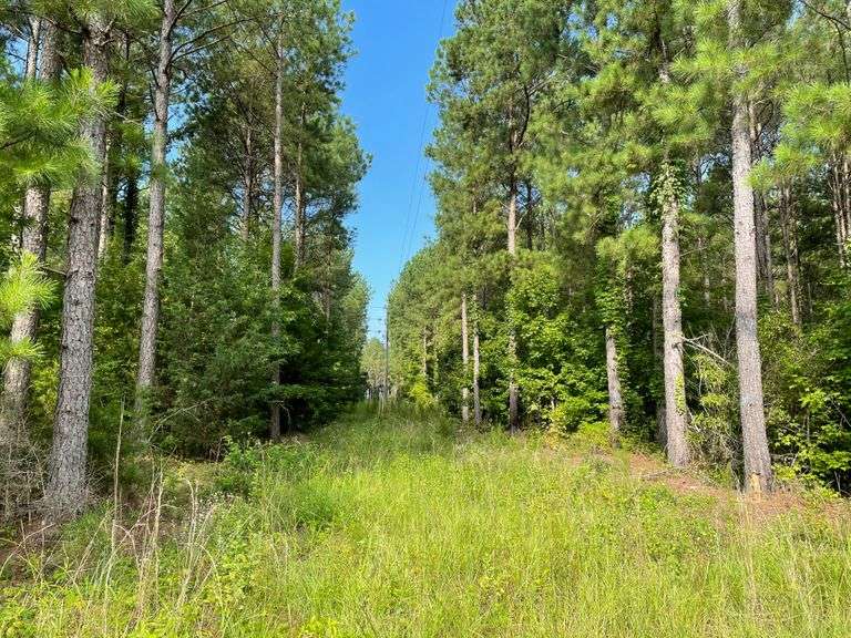 Shady Grove Acres 159 acres in 11 tracts, Dublin, GA