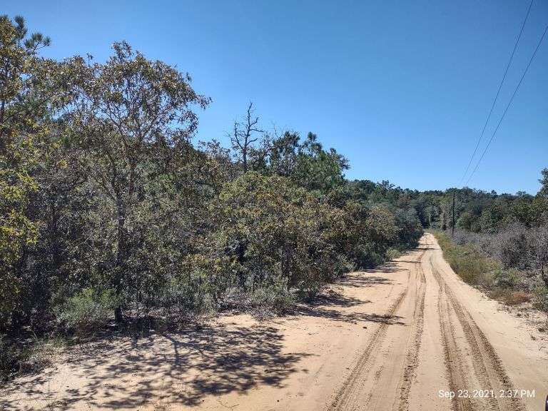 Ohoopee River Lots, Oak Park, GA South Auction