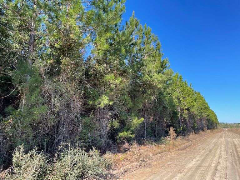 Multi County Auction in GA