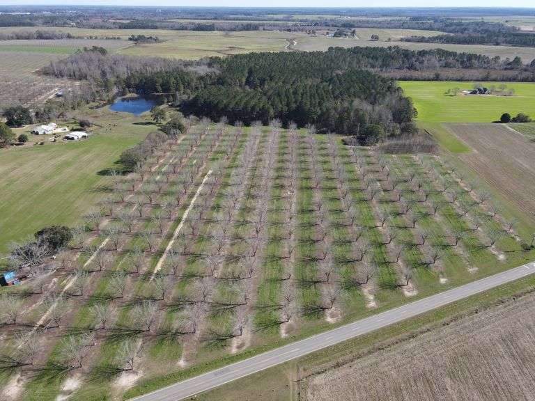 Old Union Grove, Adel, GA