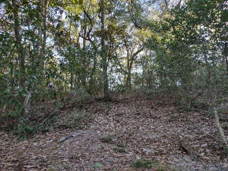 1 AcreOhoopee River Lot South Auction