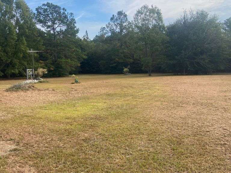 Vacant Lot 103 Spielman Road Lower Bulloch County South Auction