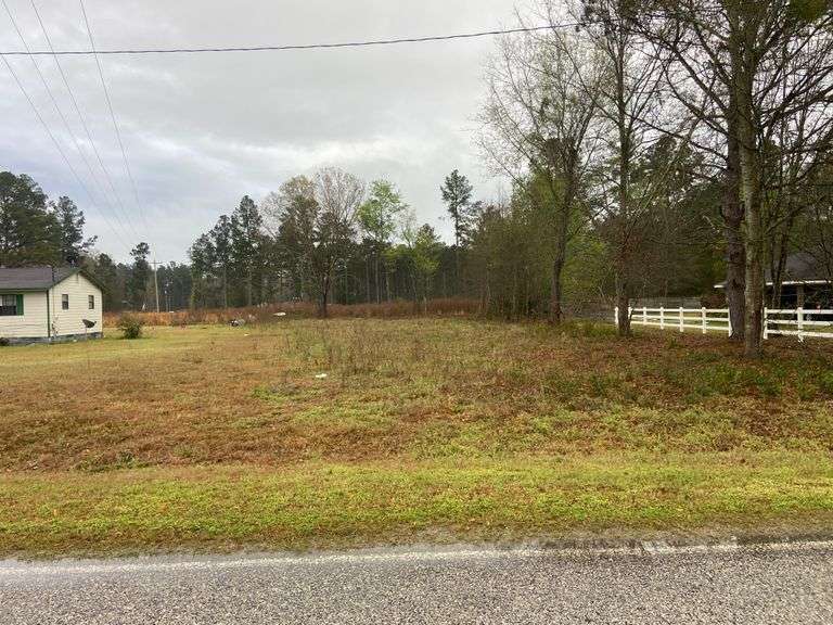 0.49 Acres 300 P W Clifton Rd. Brooklet, GA (Leefield) South Auction