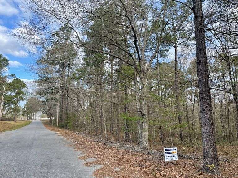 Forest Creek Drive 11 Acres Swainsboro, GA South Auction