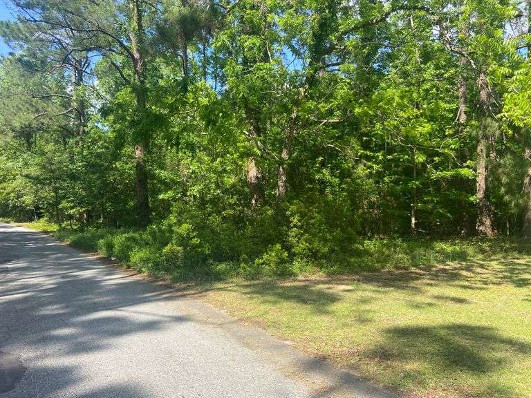 0.74 Acres Eastview Apartment Road, Statesboro, GA South Auction