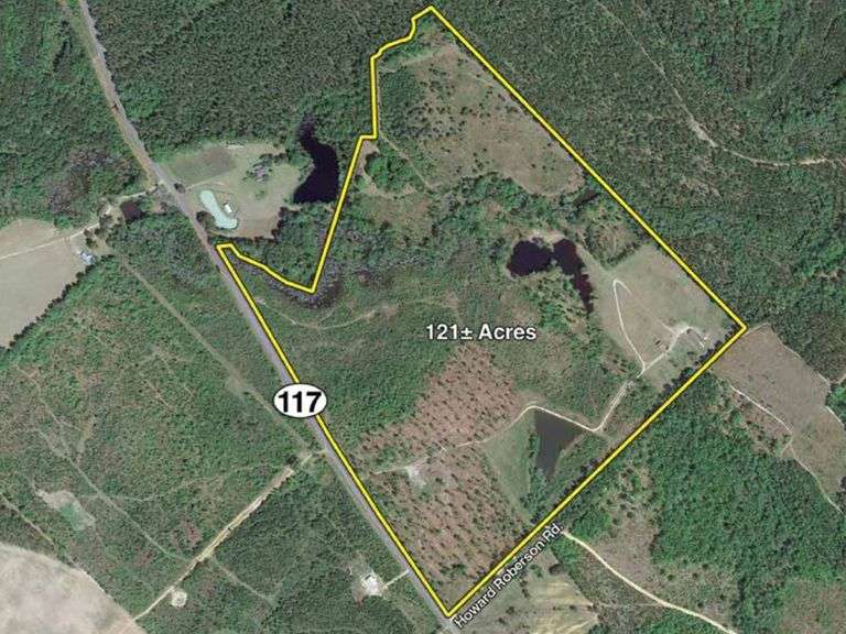 Griffin Creek, 2712 W. River Road, Rhine, GA South Auction