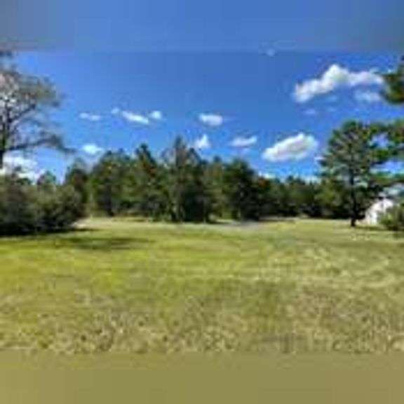 3 Acre Lot- Pinewood Place- Vidalia, GA