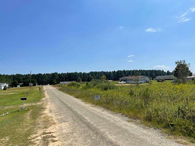 1 Acre Residential Lot Tennille, GA South Auction