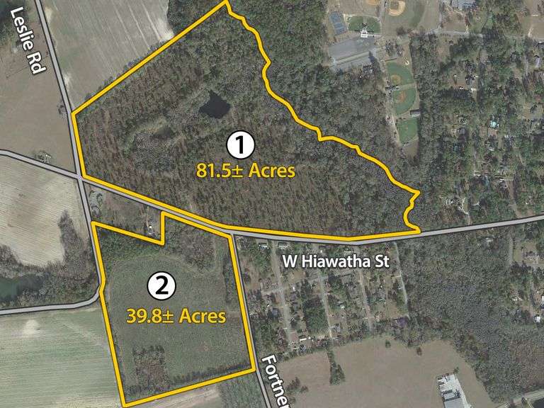 Prime Development Opportunity, 121 acres, Metter, GA