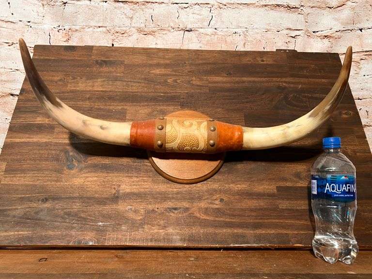 Bull Horns Mounted Wall Art Trice Auctions