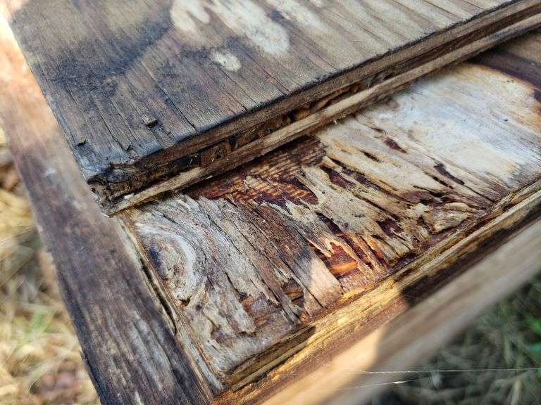Plywood ( Some Has Rot) Trice Auctions