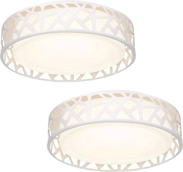 VICNIE LED Flush Mount Ceiling Light 2 Pack, 14 Inch Dimmable Round Lighting Fixture, 20W 1400 Lumen