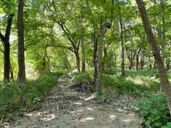00000 19 Road, Elk Falls, KS