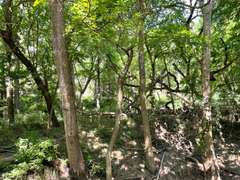 00000 19 Road, Elk Falls, KS