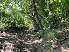 00000 19 Road, Elk Falls, KS
