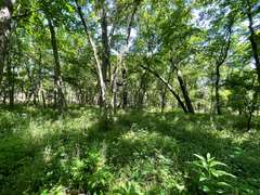 00000 19 Road, Elk Falls, KS