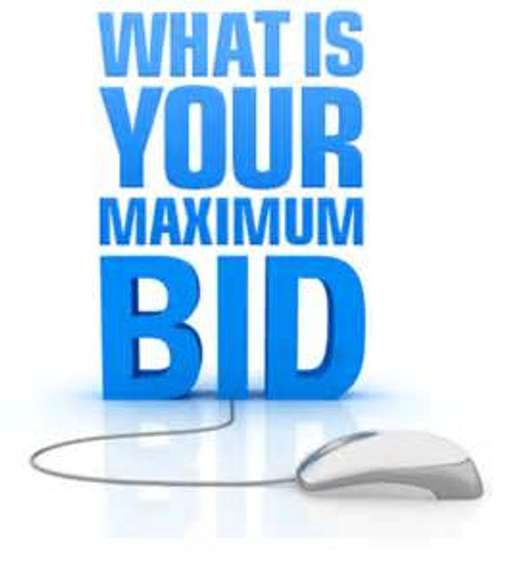 Maximum Bidding Wolfe Auction & Realty, LLC