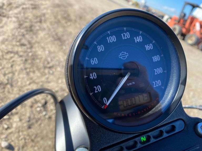 2018 HARLEY DAVIDSON IRON 883 SPORTSTER MOTORCYCLE Wild Rose Auction