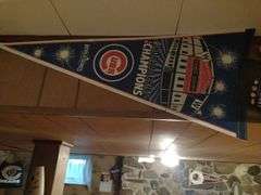 Bears and cubs lot.