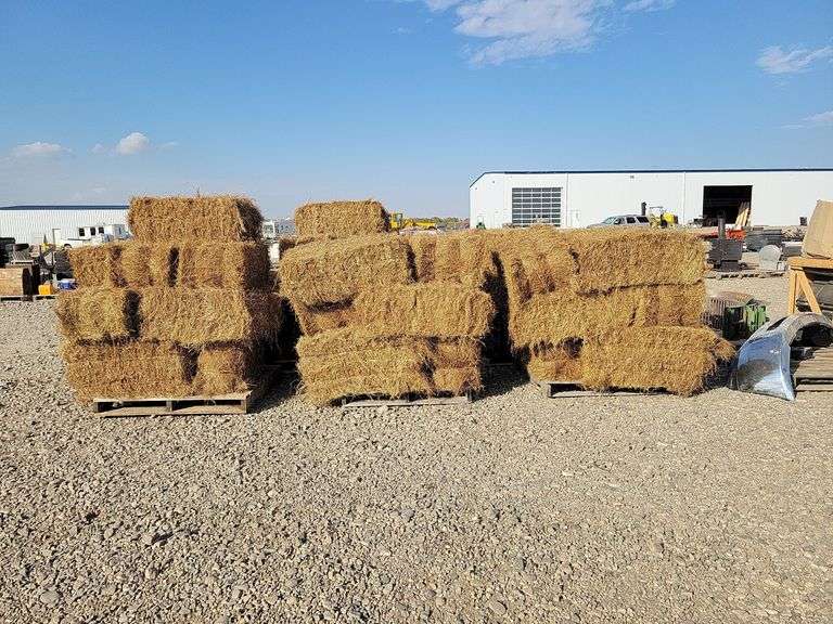Approx. 30 Square Flax Straw Bales Yorkton Auction Centre