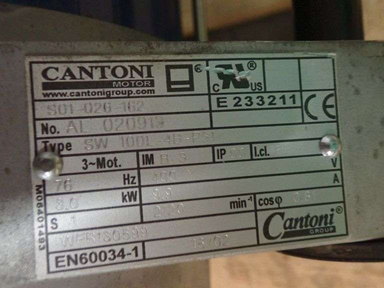 Lot of (2) Cantoni Motors Yellow Tag Auctions