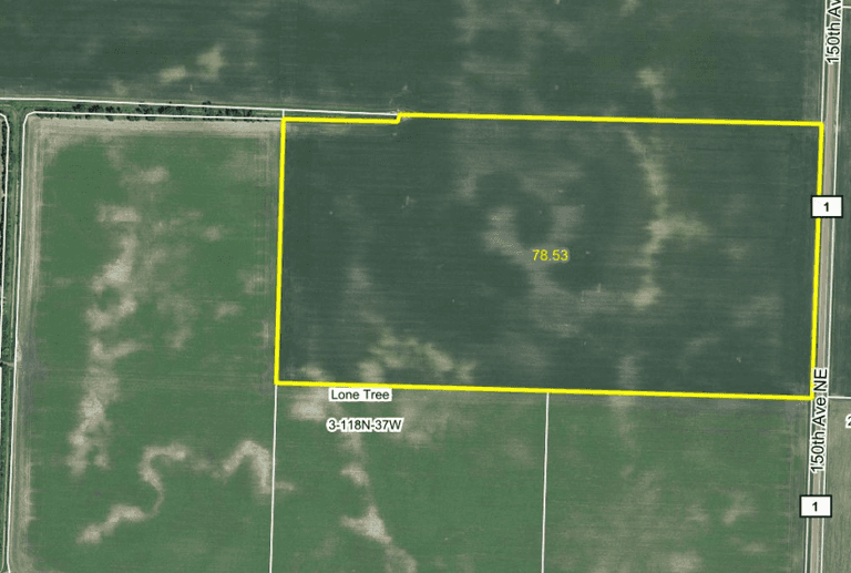 ELAINE OLSON ESTATE, RAYMOND MN, FARMLAND AUCTION, LIVE & ONLINE